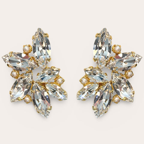 Grote oorknoppen bezet met 10 heldere kristallen en pareltjes